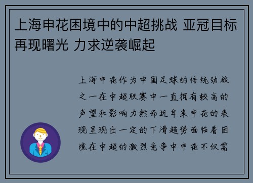 上海申花困境中的中超挑战 亚冠目标再现曙光 力求逆袭崛起