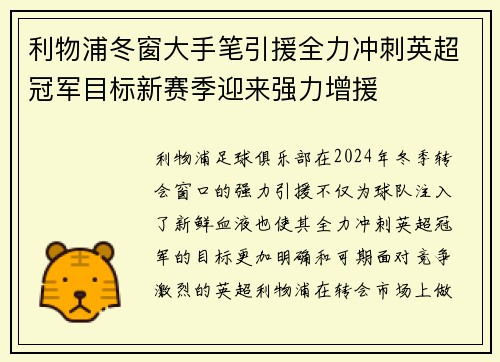 利物浦冬窗大手笔引援全力冲刺英超冠军目标新赛季迎来强力增援