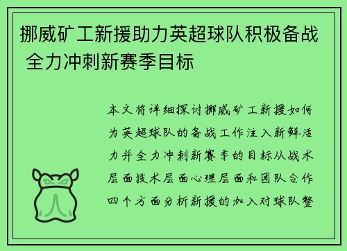 挪威矿工新援助力英超球队积极备战 全力冲刺新赛季目标