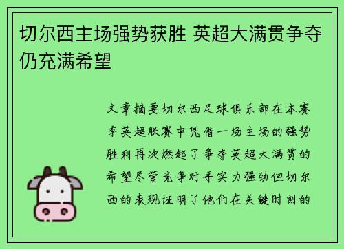 切尔西主场强势获胜 英超大满贯争夺仍充满希望