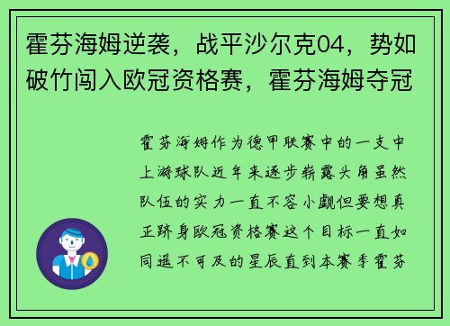 霍芬海姆逆袭，战平沙尔克04，势如破竹闯入欧冠资格赛，霍芬海姆夺冠